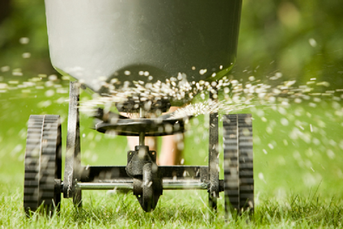 Fertilization