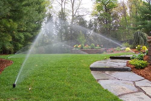 Kepp Plants Watered