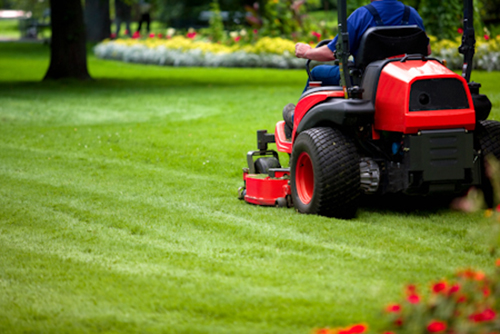 Lawn Mowing